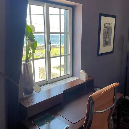 Casa de Campo The Cão&calf